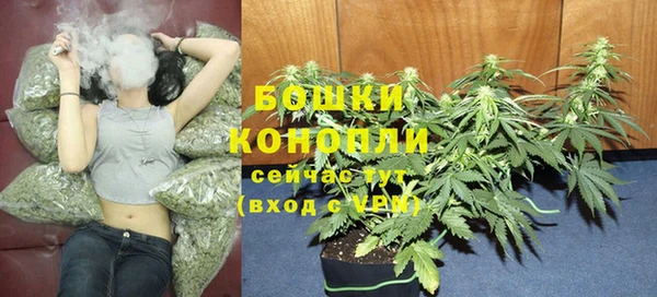 хмурый Вяземский