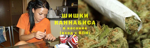 хмурый Вяземский